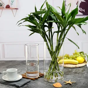 Transparant Glas Bloemenvaas Noordse Cilinder Rechter Buis Duidelijke Vazen Voor Woonkamer Huis Tafel Decor Plant Hydrocultuur