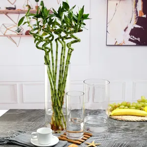 Transparante glazen cilindervaas voor huisdecoratie, grote hoge bloemenvaas voor woonkamertafel.
