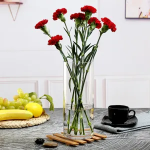 Transparante glazen cilindervase voor interieurdecoratie, hoge moderne bloemenvaas.