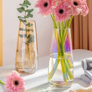 Nordische minimalistische transparente Glasvase fuer Heimtextilien hydroponischer Blumenbehaelter.