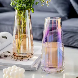 Nordische minimalistische Glasvase transparente schimmernde Blumenvase für die Wohnkultur
