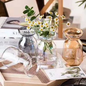 Nordic minimalist transparent glass vase for fresh or dried flowers, modern home decor.