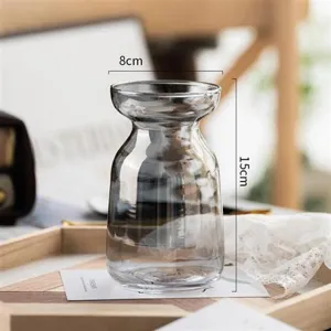 Nordic minimalist clear glass vase creative transparent flower arrangement for home decor