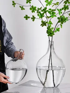 Klares Glasvase großer Bauch transparente nordische Dekoration für Wohnzimmer Blumen