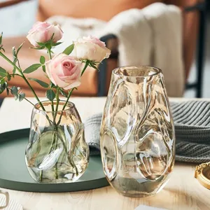 Modern Minimalistisch Onregelmatige Glas Vaas Transparant Amber Rookgrijs Kleurrijk Bloempot Woonkamer Tafeldecoratie