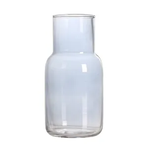 Transparente Glasvase modern minimalistischer Farbverlauf hydroponische Blumenarrangements Deko