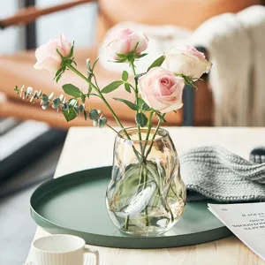 Moderne transparante glazen bloemenvaas voor woonkamer decoratie met verse rozen.