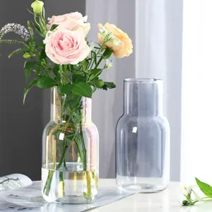 Luxus kreative Glasvase bunte Farbverlauf Hydrokultur Blume Rose Anordnung Wohnkultur