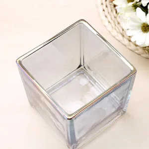 Vaso in vetro iridescente europeo, contenitore floreale minimalista moderno per la casa.