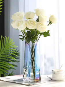 Nordic Stil Aurora Glas Blumenvase farbig transparent Desktop Blumenarrangement Ornament