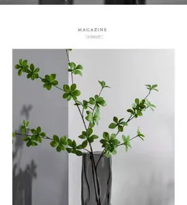 Nordic creative glass vase with artificial green plant branches for home living room decor.