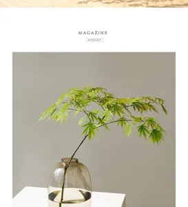 Jarrón de vidrio transparente con rama verde arreglo floral hidropónico minimalista para el hogar.