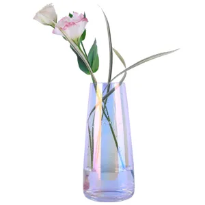 Skandinavische kreative minimalistische Glasvase irisierend Regenbogen transparente Blume Deko