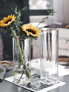 Nordic minimalist transparent glass vase with gold rim for modern home decor and flower arrangement.