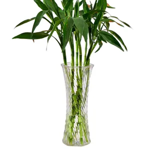 Grote transparante glazen vaas met verse geluksbamboe, elegante huisdecoratie voor bloemen.