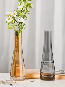 Set vaso di fiori in vetro nordico, piccolo calibro idroponico decorazione floreale.