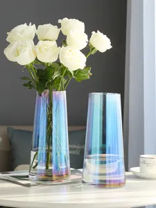 Nordische Aurora transparente Glasvase kreative Blumenanordnung Tischdekoration Wohnzimmer