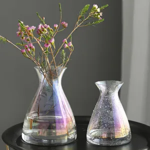 Minimalist Glass Vase Electroplated Aurora Amber Hydroponic Flower Arrangement Small Large Home Decor Tabletop Ornament