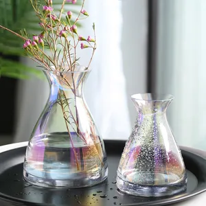 Transparent iridescent glass vase set, aurora gradient flower arrangement home decor table display
