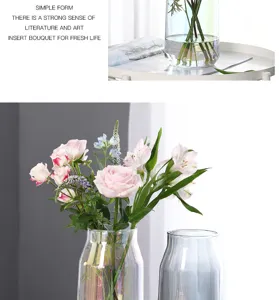 Modern glass vase hydroponic flower arrangement container simple home desktop decorative ornament