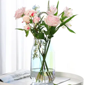 Simple creative light luxury glass vase for hydroponic flowers, modern home decor ornament.