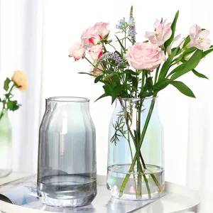 Simple creative glass vase set for hydroponic flowers home living room decor ornament