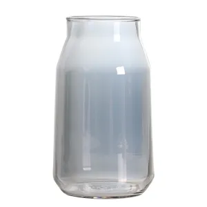 Transparent gradient glass vase for modern home decor, perfect for hydroponics and fresh flowers.