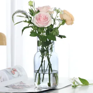 Moderne Luxus kreative Glasvase farbige Gradient Hydrokultur Blumenarrangement Wohnzimmer Dekor