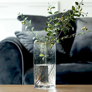 Nordic Minimalist Transparent Square Glass Vase Gold Rimmed Creative Home Hydroponic Plant Flower Decor