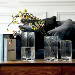 Nordic minimalist clear square glass vase with gold rim, elegant modern home decor planter.