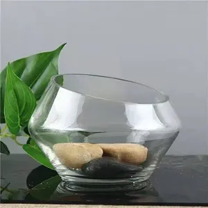 Detailansicht der transparenten Glas-Hydrokulturvase mit Ziersteinen, modernes Design.
