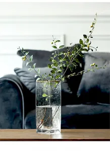 Close-up detail of a transparent square glass vase with golden rim, featuring hydroponic green leaves.