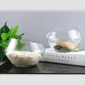 Transparente Glas-Hydrokultur-Vase für Zimmerpflanzen, moderner geometrischer Blumentopf.