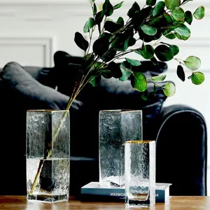 Minimalist Nordic transparent square glass vase with gold rim for modern home decor