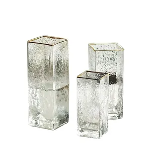 Nordic minimalist transparent square glass vase set with elegant gold rims for home decor.