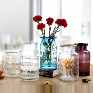 Modern creative transparent glass vase set for hydroponic plants and fresh flowers decor.