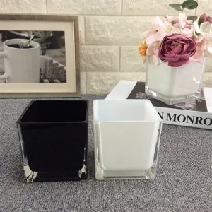 Vase en verre carre simple noir et blanc cylindre transparent pot de fleurs hydroponique