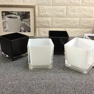 Vase Carré en Verre Électroplaqué Moderne Minimaliste Noir Et Blanc Transparent Pot de Plante Hydroponique Décoration Florale de Bureau