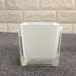 Vase carre en verre transparent doublure blanche aquarium hydroponique decoratif