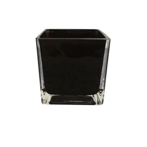 Vase carre en verre noir moderne pour plantes hydroponiques, arrangement floral et aquarium.