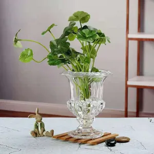 Vaso in vetro trasparente stile romano contenitore per piante idroponiche decoro