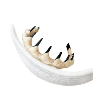 Serre-tête femme quotidien haut crâne ondulé dentelé satin enroulé blanc noir élégant