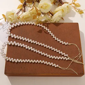 Franse dubbele parelketting doe het zelf vrouw zoete veelzijdige lange Hanfu haaraccessoire detail