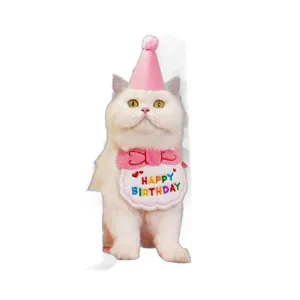 Cute pet birthday hat and bib set for cats and dogs party celebration accessories.