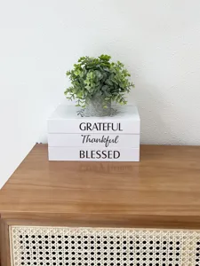 Decorative storage book stack detail with small artificial green plant on rustic wooden cabinet.