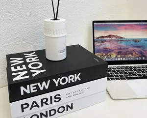 Modern white aroma diffuser with reed sticks on decorative books, perfect home decor and desk setup.