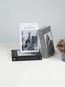European city decorative fake books detail view, black gray white modern home desktop decor.