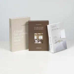 Set di libri decorativi minimalisti nordici per soggiorno, homestay e oggetti di scena fotografici.