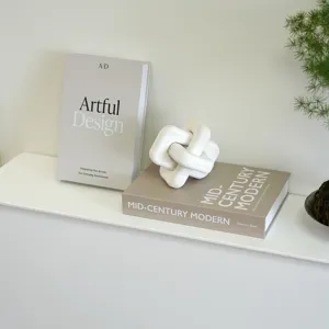 Modern decorative books for coffee table decor, minimalist aesthetic home shelf ornament display.