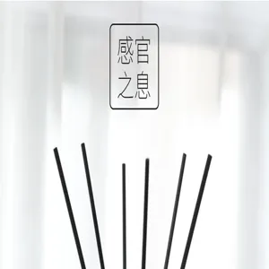 Reed diffuser sticks and fragrance bottle detail shot for home air freshener decor.